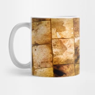 Background US20 Mug